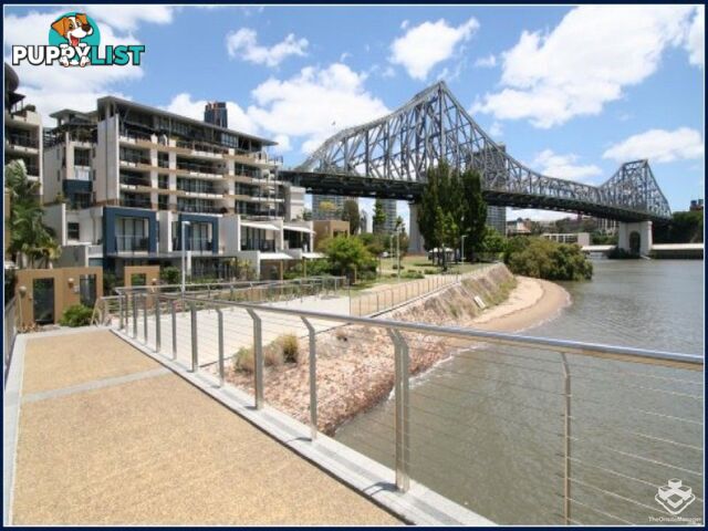 ID:3723889/ No 1 Holman Street KANGAROO POINT QLD 4169