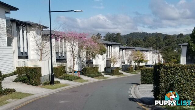 ID:21155346 1 Norris Street Pacific Pines QLD 4211