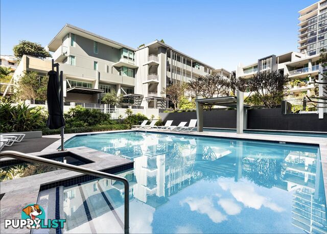 ID:21156966 20 Newstead Terrace Newstead QLD 4006