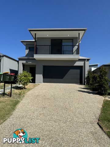 ID:21138510/20 Regina Street Coomera QLD 4209