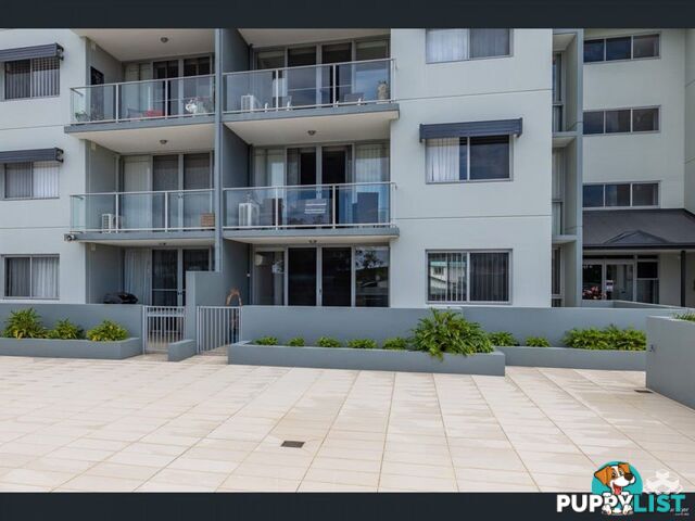 ID:21147163 6 George Street Deception Bay QLD 4508