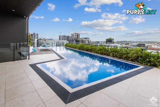 ID:21154634 27 Commercial Road Newstead QLD 4006