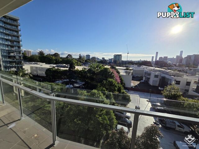 ID:21144834 11 Beesley Street West End QLD 4101