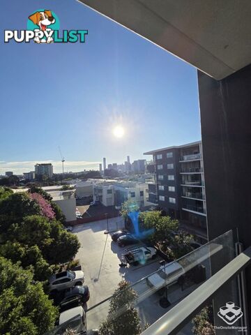 ID:21144834 11 Beesley Street West End QLD 4101