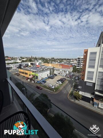 ID:21144834 11 Beesley Street West End QLD 4101