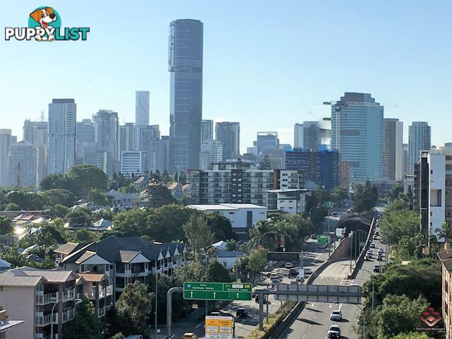 ID:3896919 17 Lytton Road East Brisbane QLD 4169