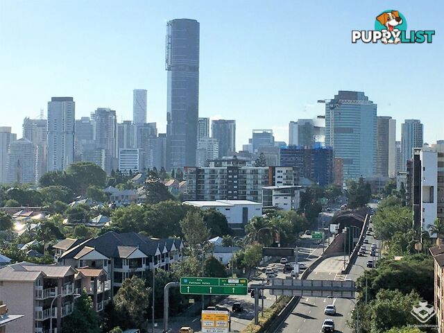 ID:3896919 17 Lytton Road East Brisbane QLD 4169