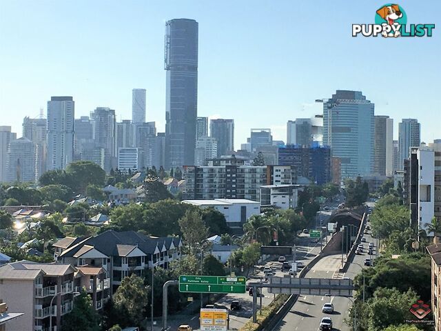 ID:3896919 17 Lytton Road East Brisbane QLD 4169