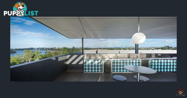 ID:3896919 17 Lytton Road East Brisbane QLD 4169
