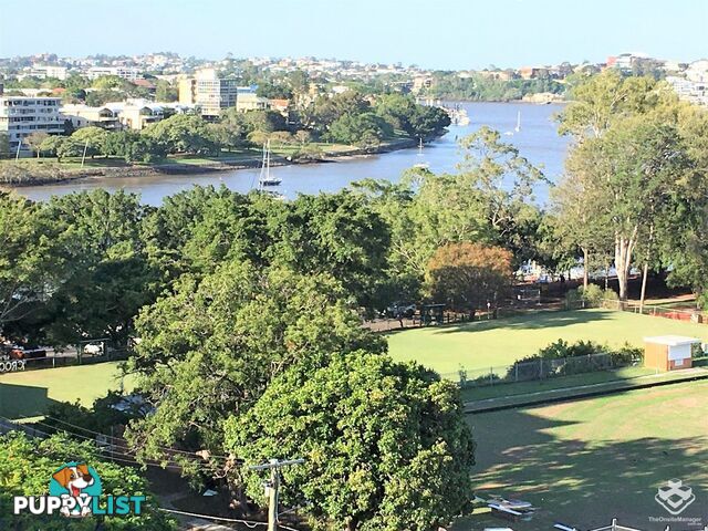 ID:3896919 17 Lytton Road East Brisbane QLD 4169