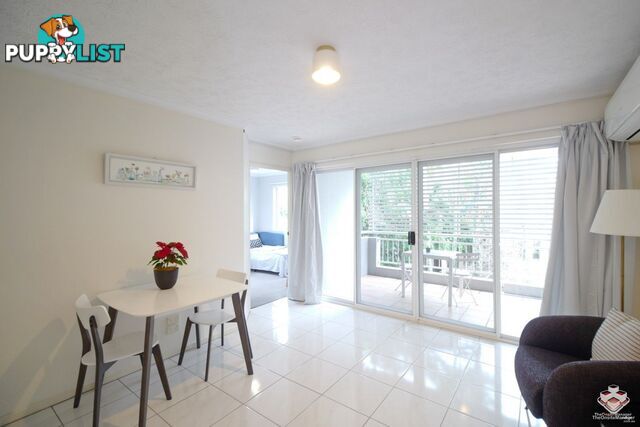 ID:21154329 9 Durham Street St Lucia QLD 4067