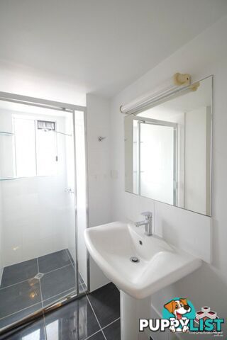 ID:21154329 9 Durham Street St Lucia QLD 4067