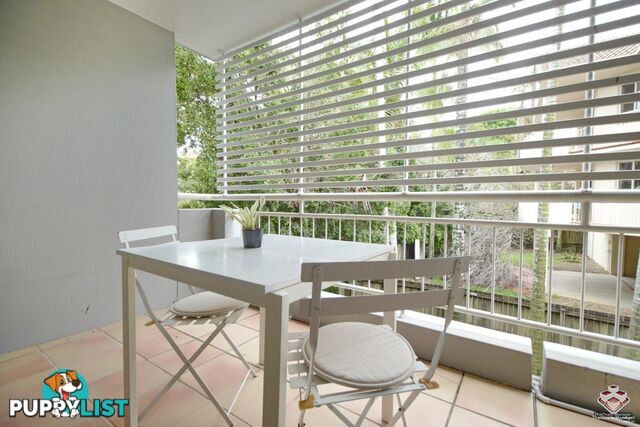 ID:21154329 9 Durham Street St Lucia QLD 4067