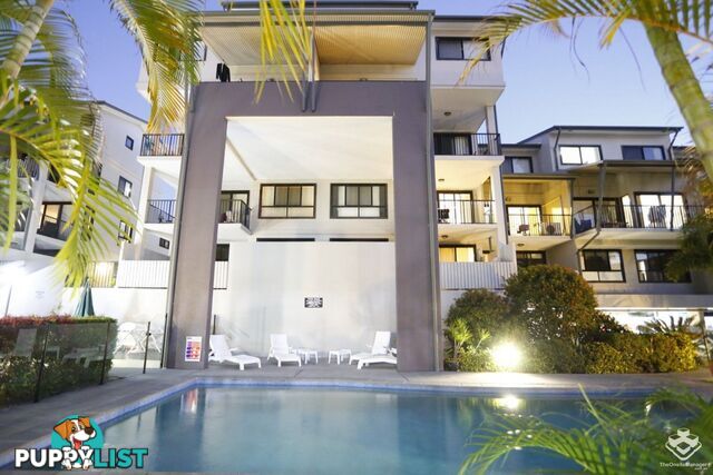 ID:21153444 60 Sherwood Road Toowong QLD 4066