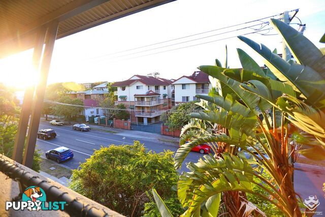 ID:21153444 60 Sherwood Road Toowong QLD 4066