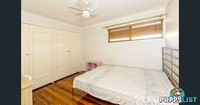 4 Tanis Street Eight Mile Plains QLD 4113