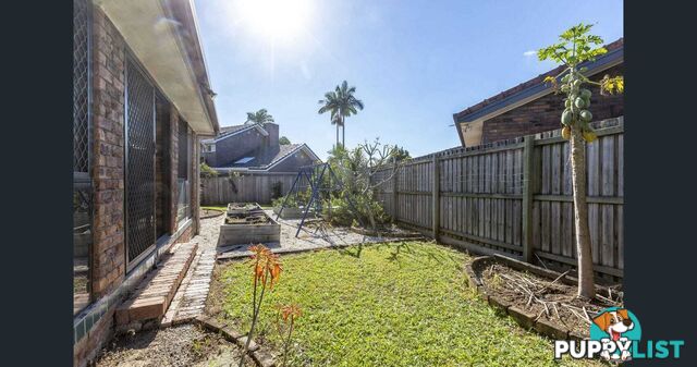 4 Tanis Street Eight Mile Plains QLD 4113