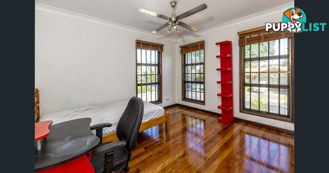 4 Tanis Street Eight Mile Plains QLD 4113