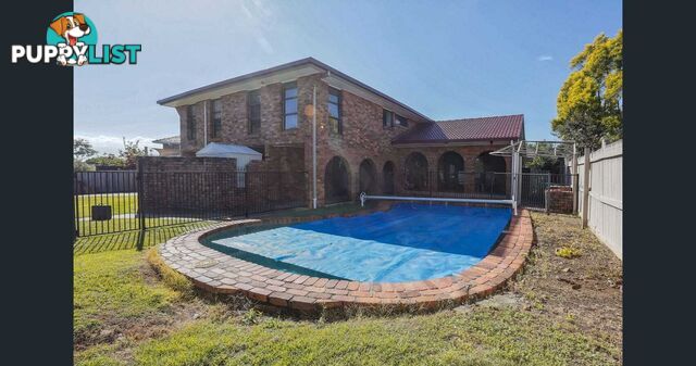 4 Tanis Street Eight Mile Plains QLD 4113