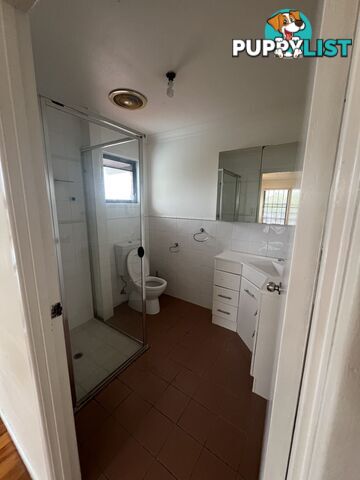 4 Tanis Street Eight Mile Plains QLD 4113