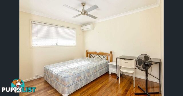 4 Tanis Street Eight Mile Plains QLD 4113