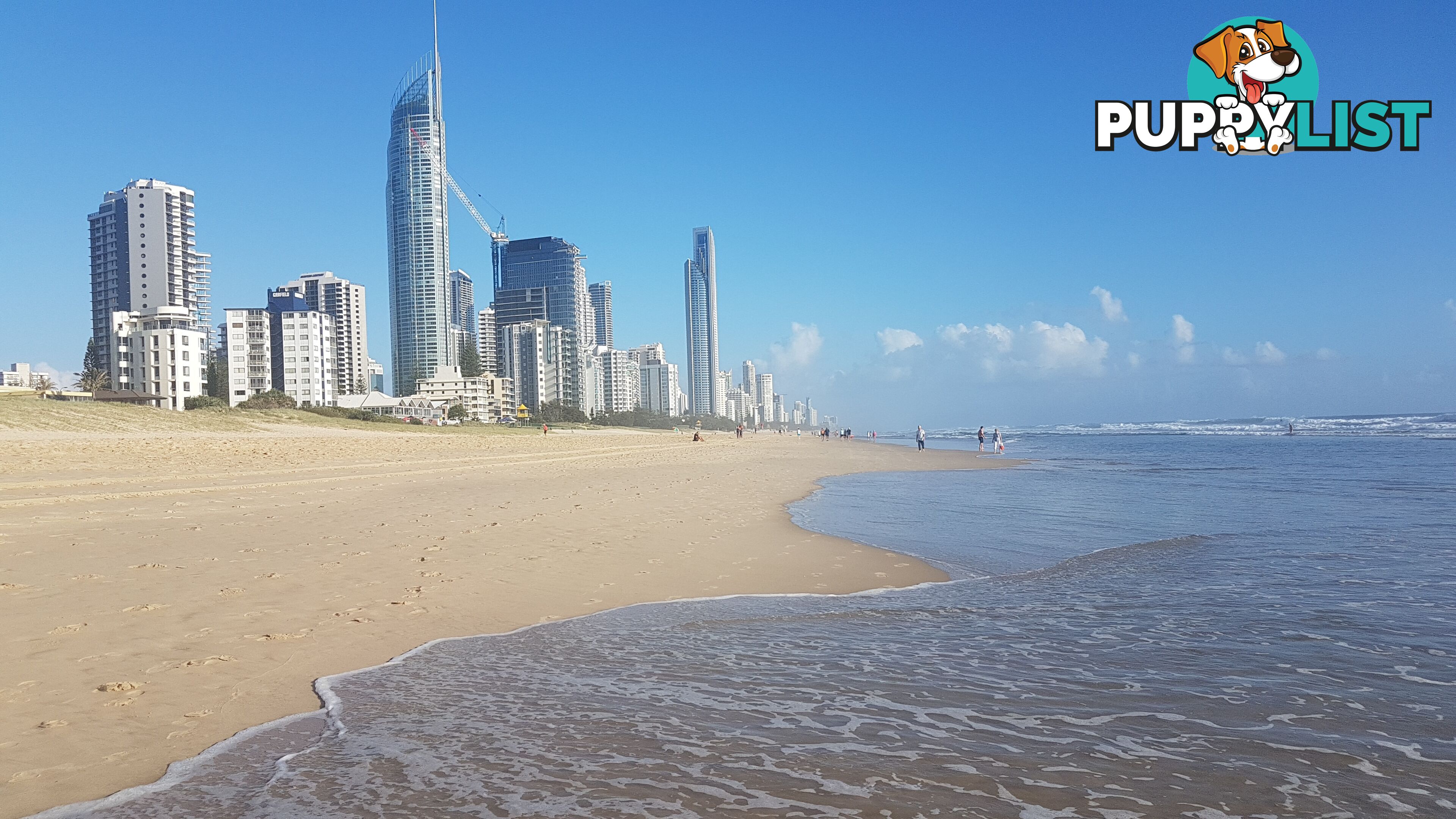 ID:21154288 15 Owens Lane Southport QLD 4215