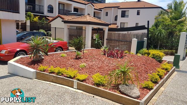 ID:21154288 15 Owens Lane Southport QLD 4215