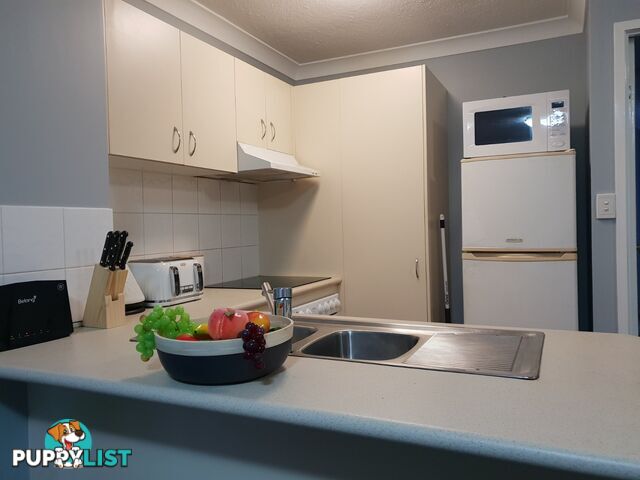 ID:21154288 15 Owens Lane Southport QLD 4215