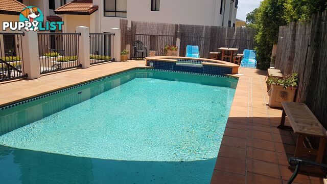 ID:21154288 15 Owens Lane Southport QLD 4215