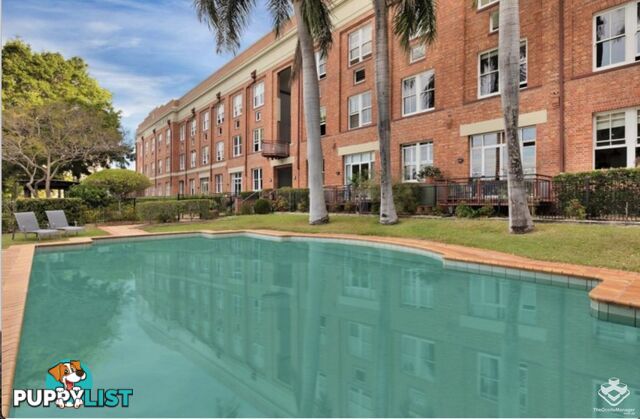ID:21156713 53 Vernon Terrace Teneriffe QLD 4005
