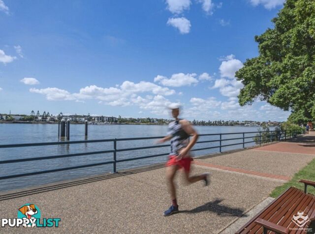 ID:21156713 53 Vernon Terrace Teneriffe QLD 4005
