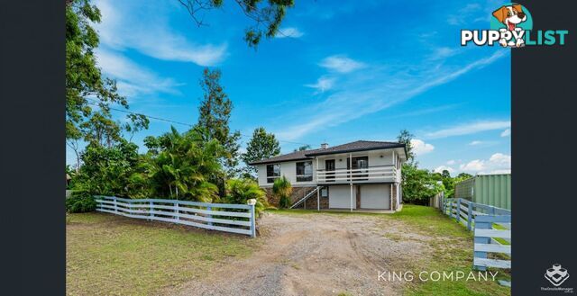 ID:21143544/167 Old Logan Village Road Waterford QLD 4133