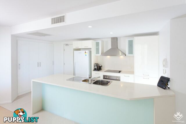 ID:21150377 53 Dunmore Terrace Auchenflower QLD 4066