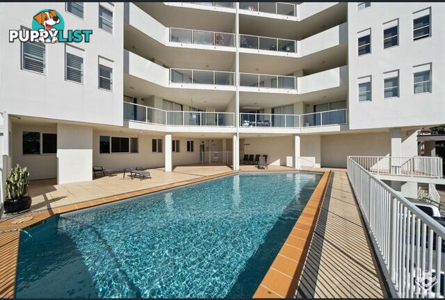 ID:21150377 53 Dunmore Terrace Auchenflower QLD 4066