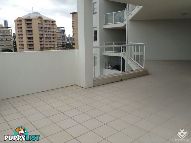 ID:21150377 53 Dunmore Terrace Auchenflower QLD 4066