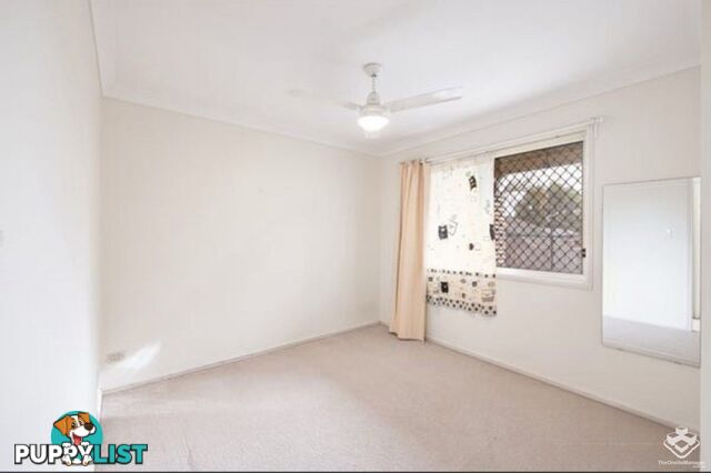 16 Springwater Place Algester QLD 4115