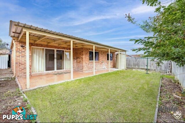 16 Springwater Place Algester QLD 4115