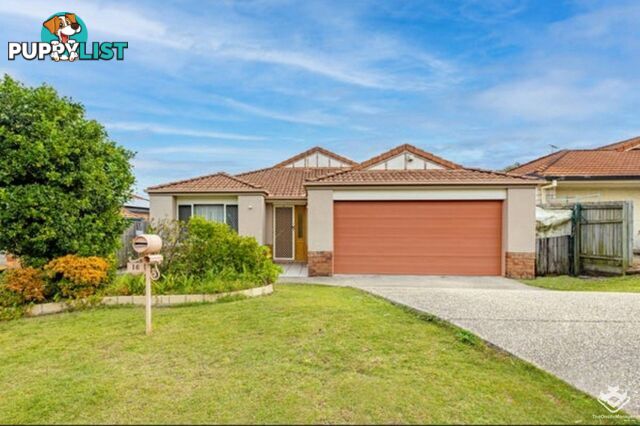 16 Springwater Place Algester QLD 4115