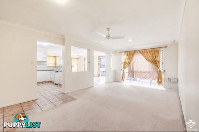 16 Springwater Place Algester QLD 4115