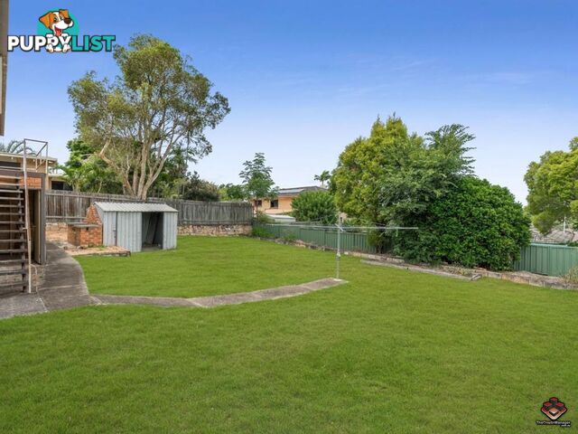 3 Bridelia Street Algester QLD 4115