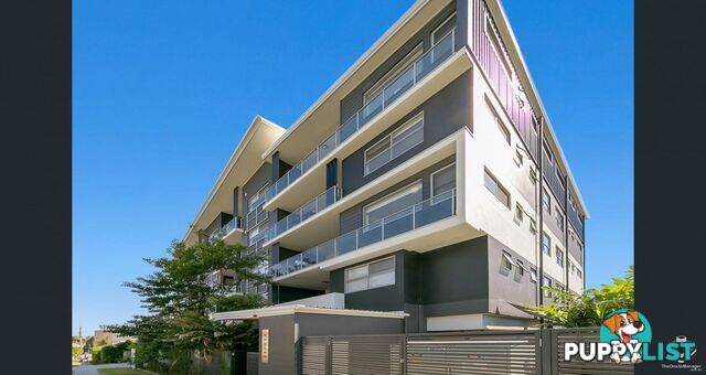 38 Lowerson Street Lutwyche QLD 4030
