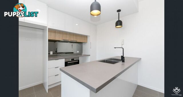 38 Lowerson Street Lutwyche QLD 4030