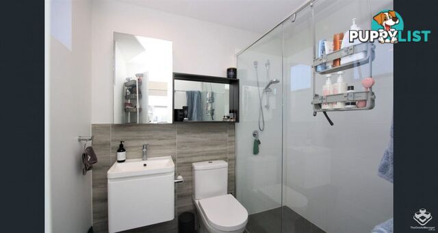 38 Lowerson Street Lutwyche QLD 4030