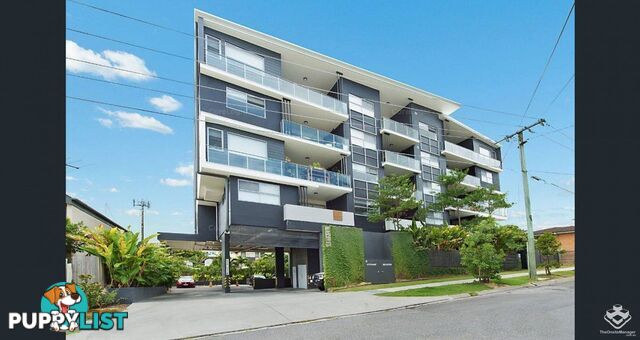 38 Lowerson Street Lutwyche QLD 4030