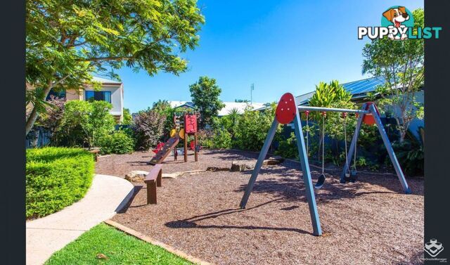 20/9A Browning Boulevard Battery Hill QLD 4551