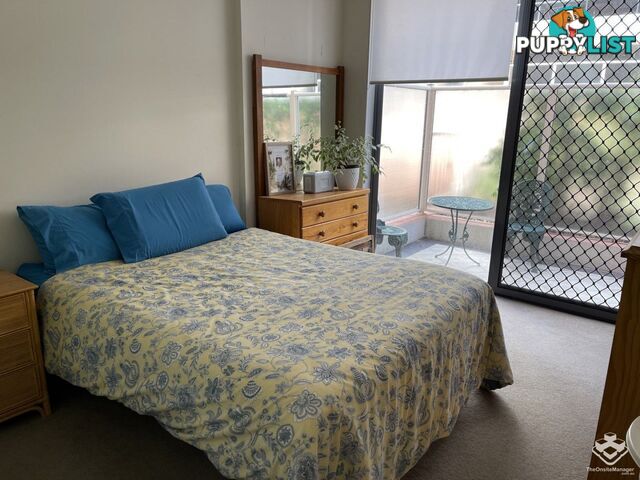 292/17-21 Romsey Street Waitara NSW 2077