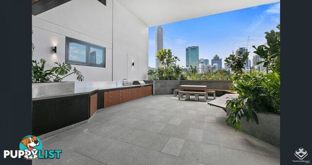 ID:21153196 19 Hope Street South Brisbane QLD 4101