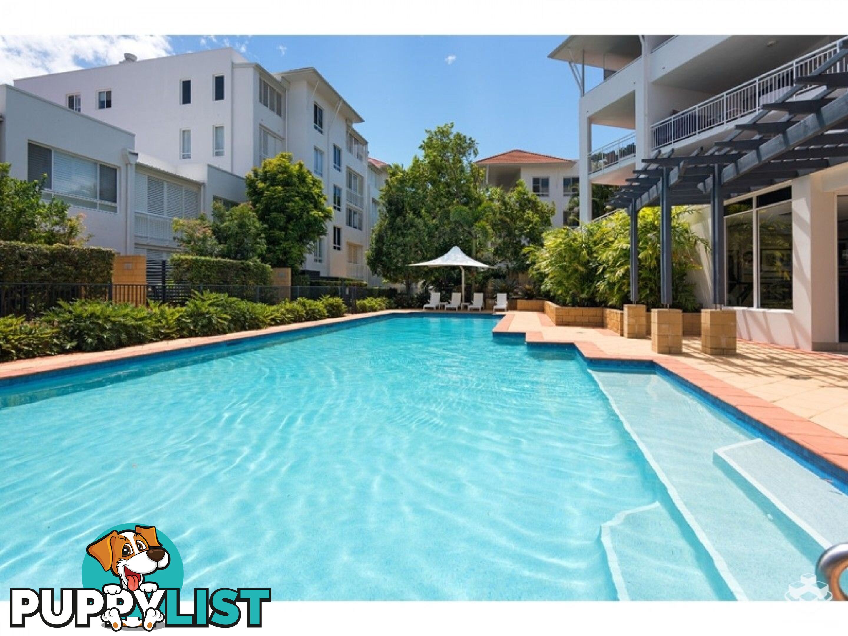 ID:21158039 6 Merthyr Road New Farm QLD 4005