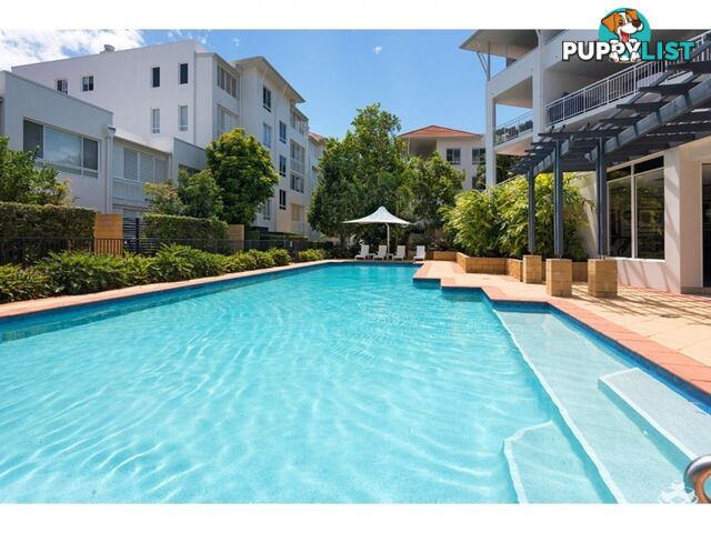 ID:21158039 6 Merthyr Road New Farm QLD 4005