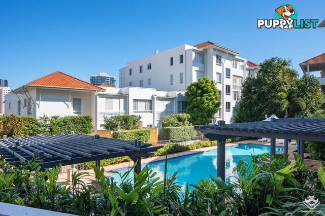 ID:21158039 6 Merthyr Road New Farm QLD 4005